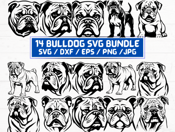 14 Bulldog SVG, DXF, EPS, JPG, PNG for Modern Graphics
