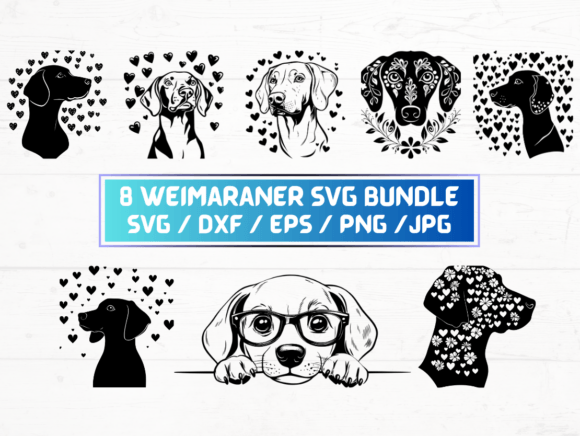 8 Weimaraner SVG, DXF, EPS, JPG, PNG Graphics for Crafts