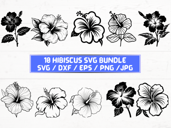 Hibiscus Flower Laser Engraving Cut File for Graphics & Crafts