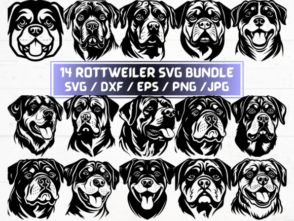 Rottweiler SVG, DXF, EPS, JPG, PNG for Crafts and Graphics
