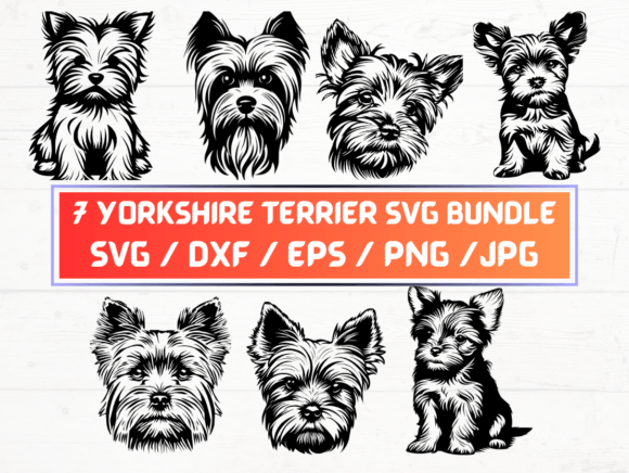 Yorkshire Terrier SVG Graphics for Crafts & Publishing